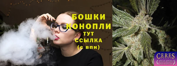 ПСИЛОЦИБИНОВЫЕ ГРИБЫ Семёнов