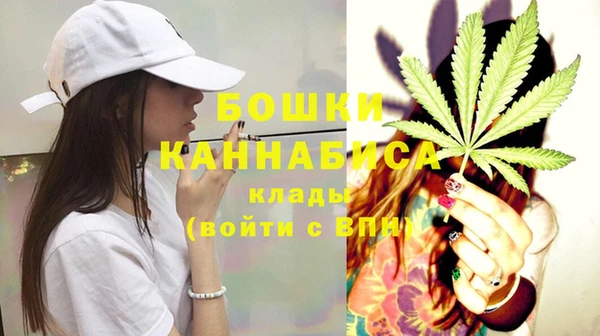 ПСИЛОЦИБИНОВЫЕ ГРИБЫ Семёнов