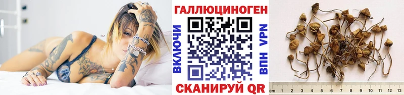 цены   Сердобск  Галлюциногенные грибы мухоморы 