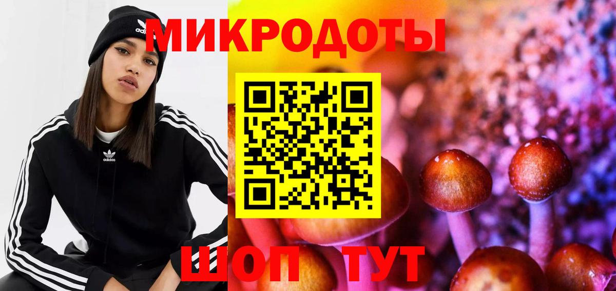 Сердобск  Псилоцибиновые грибы Psilocybe  где купить   Вход с VPN 